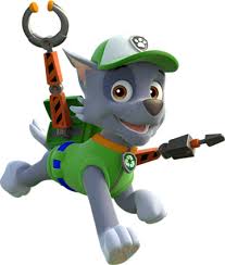 rocky paw patrol